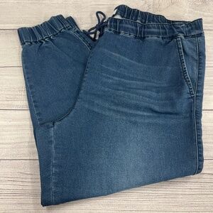 Skinnygirl Pull-On Knit Denim Jogger (A)